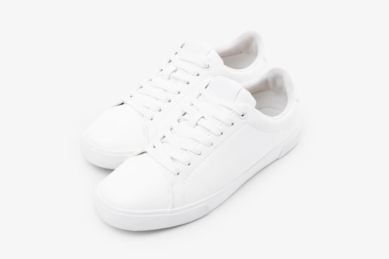 Professional Trainers and Sneakers Cleaning Service